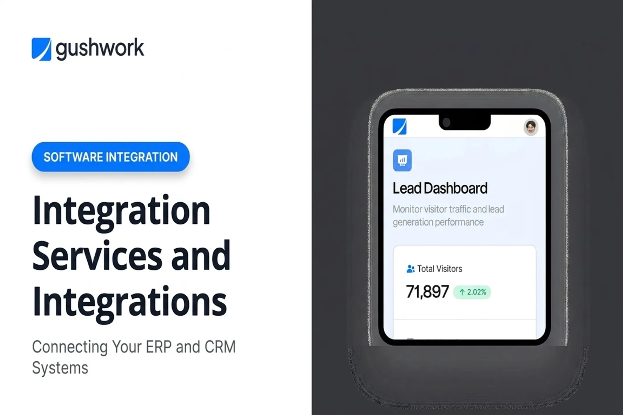 Integration Services and Integrations