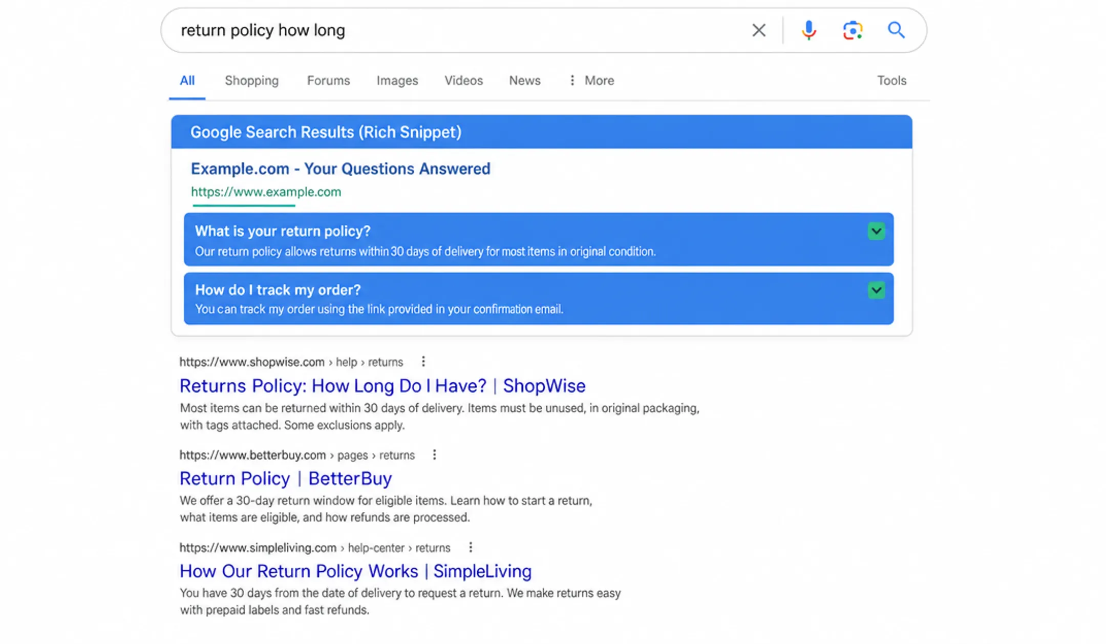 Search engine results page showing returns policy query and ranked answers