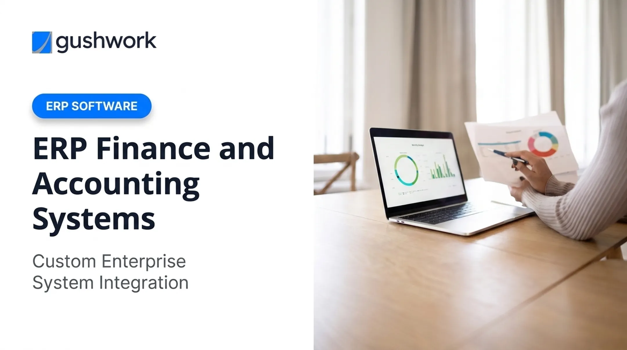 ERP Finance and Accounting Systems