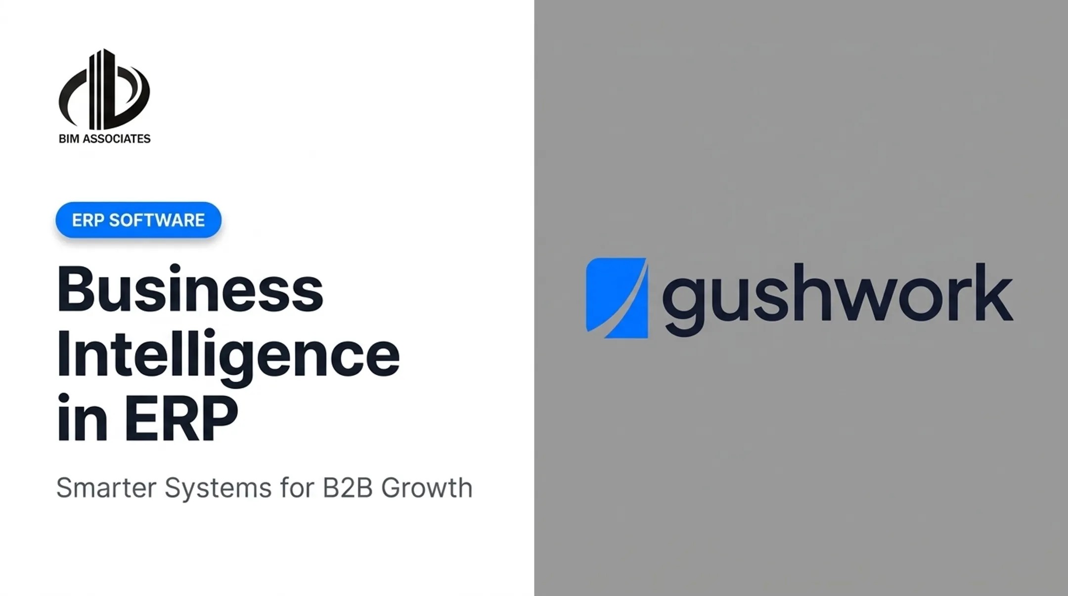Business Intelligence in ERP
