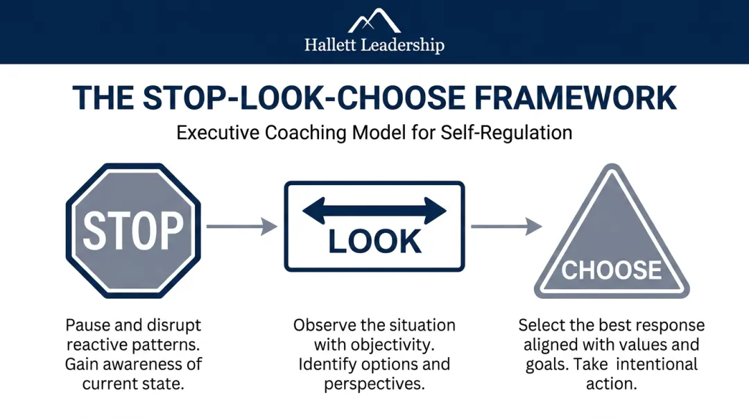 Hallett Leadership STOP-LOOK-CHOOSE framework diagram for emotional self-regulation