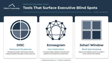 Three executive coaching assessment tools DISC Enneagram and Johari Window frameworks explained