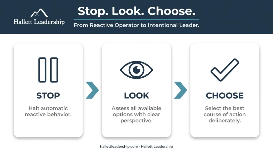 Stop Look Choose strategic decision-making framework three-step process flow