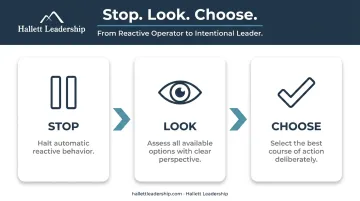 Stop Look Choose strategic decision-making framework three-step process flow