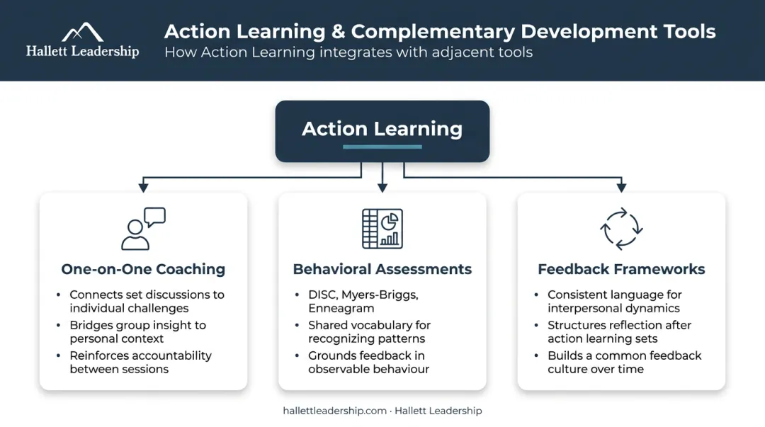 Action learning program integration three complementary development components infographic