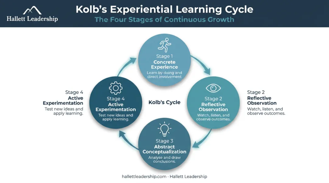Kolb four-stage experiential learning cycle diagram for leadership development