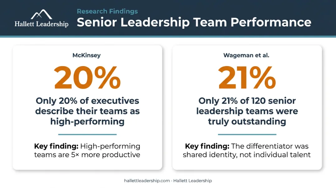 Executive team identity gap research statistics showing only 21 percent outstanding teams