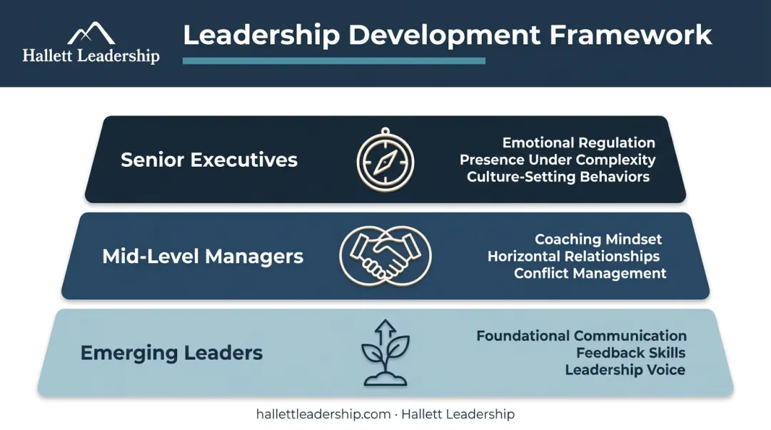 Three leadership tier development framework emerging managers mid-level and senior executives