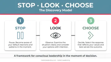 Hallett Leadership STOP LOOK CHOOSE executive coaching Discovery Model framework diagram