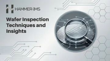 Wafer Inspection Techniques and Insights