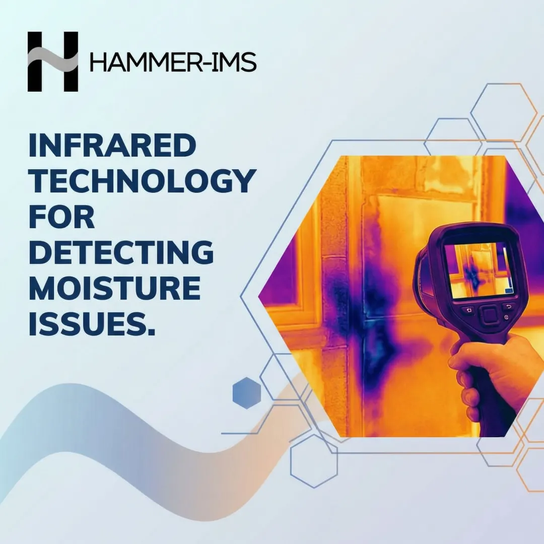 Infrared Technology for Detecting Moisture Issues