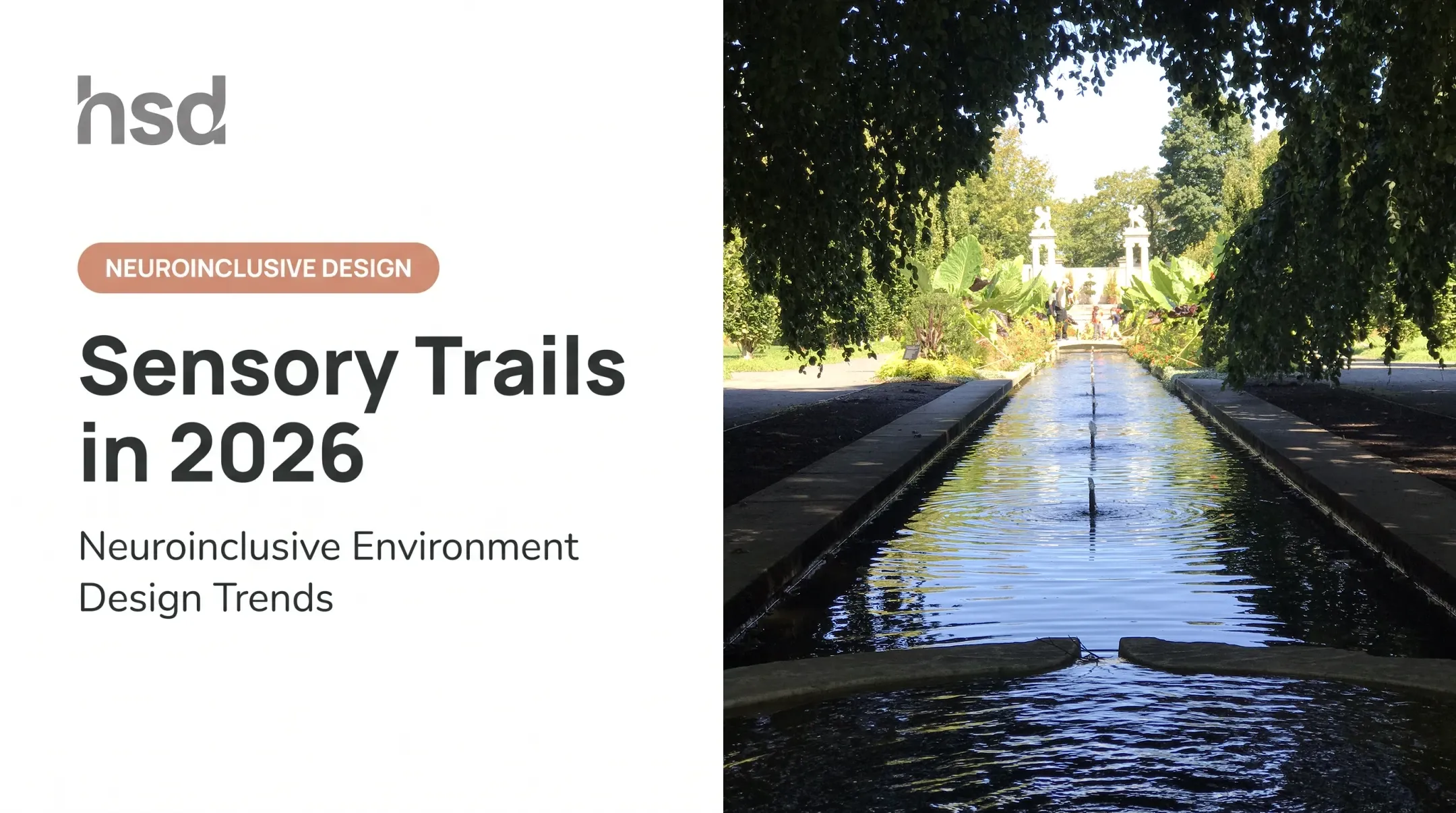 Sensory Trails in 2026