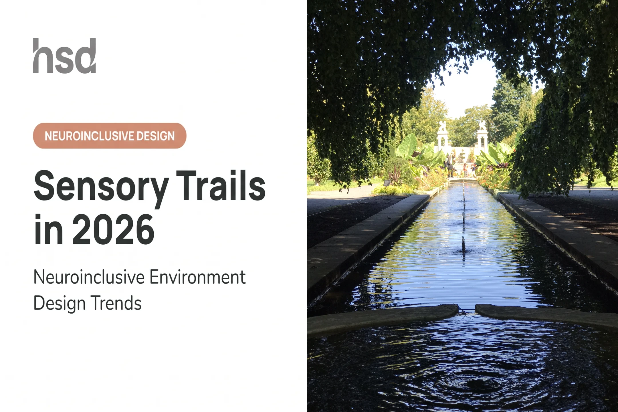 Sensory Trails in 2026