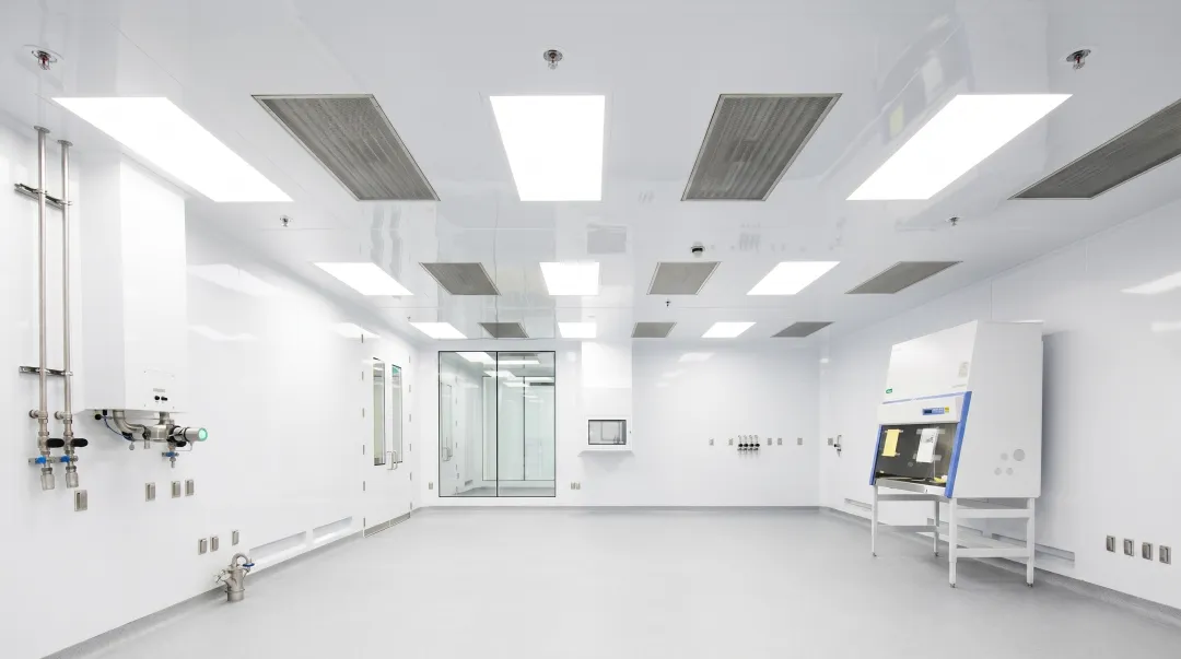GMP cleanroom interior showing flush sprinkler heads coved wall junctions and sanitary pipe supports