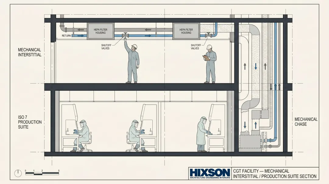 CGT pharmaceutical facility cross-section showing mechanical interstitial level above cleanroom production suites