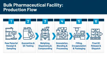 6-step bulk pharmaceutical facility production flow from raw material receipt to dispatch