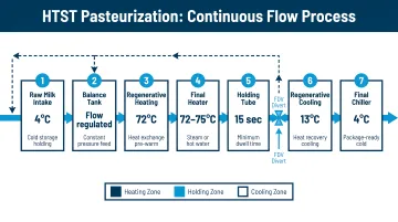 Seven-stage HTST pasteurization continuous flow process diagram with temperature controls