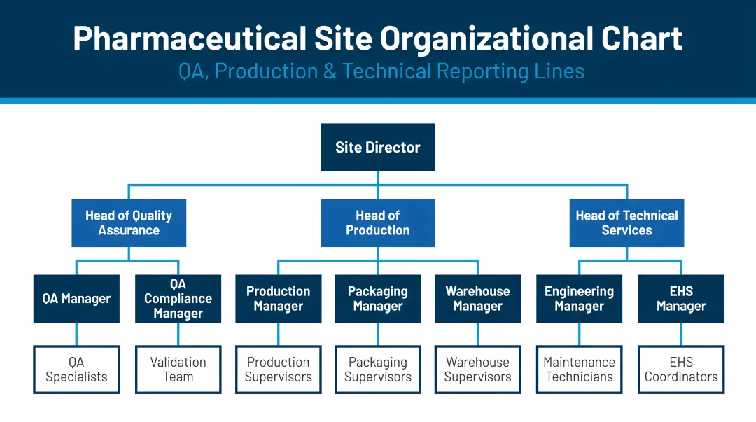 Pharmaceutical site organizational chart showing QA production and technical reporting lines