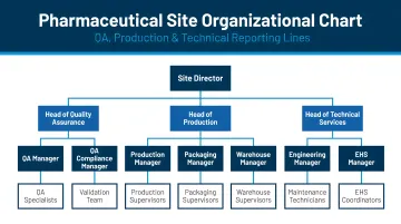 Pharmaceutical site organizational chart showing QA production and technical reporting lines