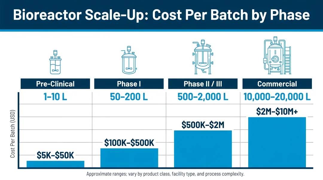 Bioreactor volume scale-up cost per batch from pre-clinical to commercial phase