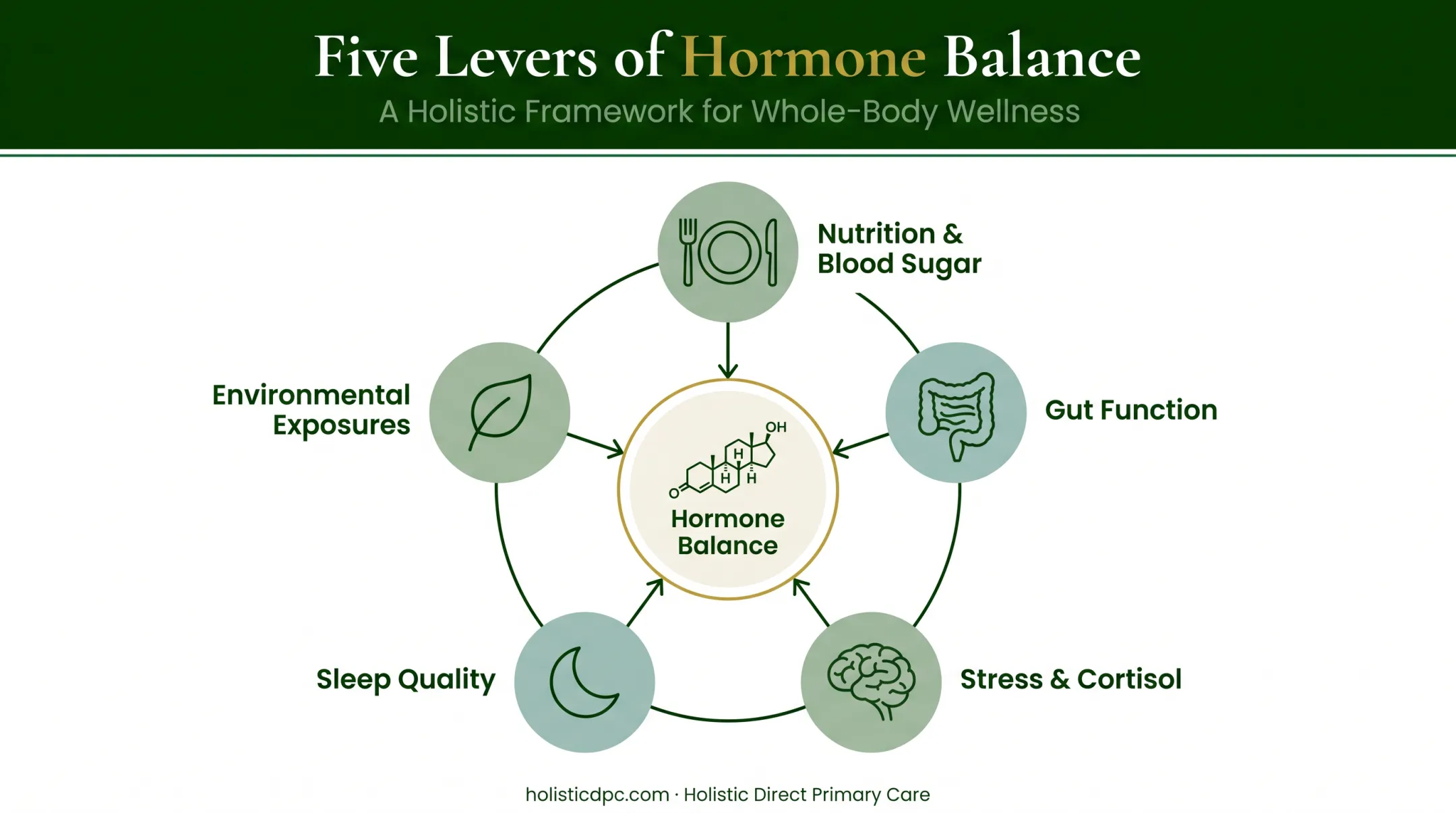Functional medicine root-cause levers affecting hormone production and balance