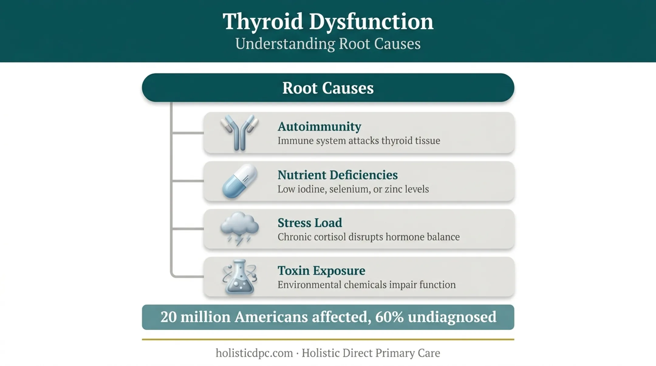 Root causes of thyroid dysfunction including autoimmunity nutrients stress and toxins