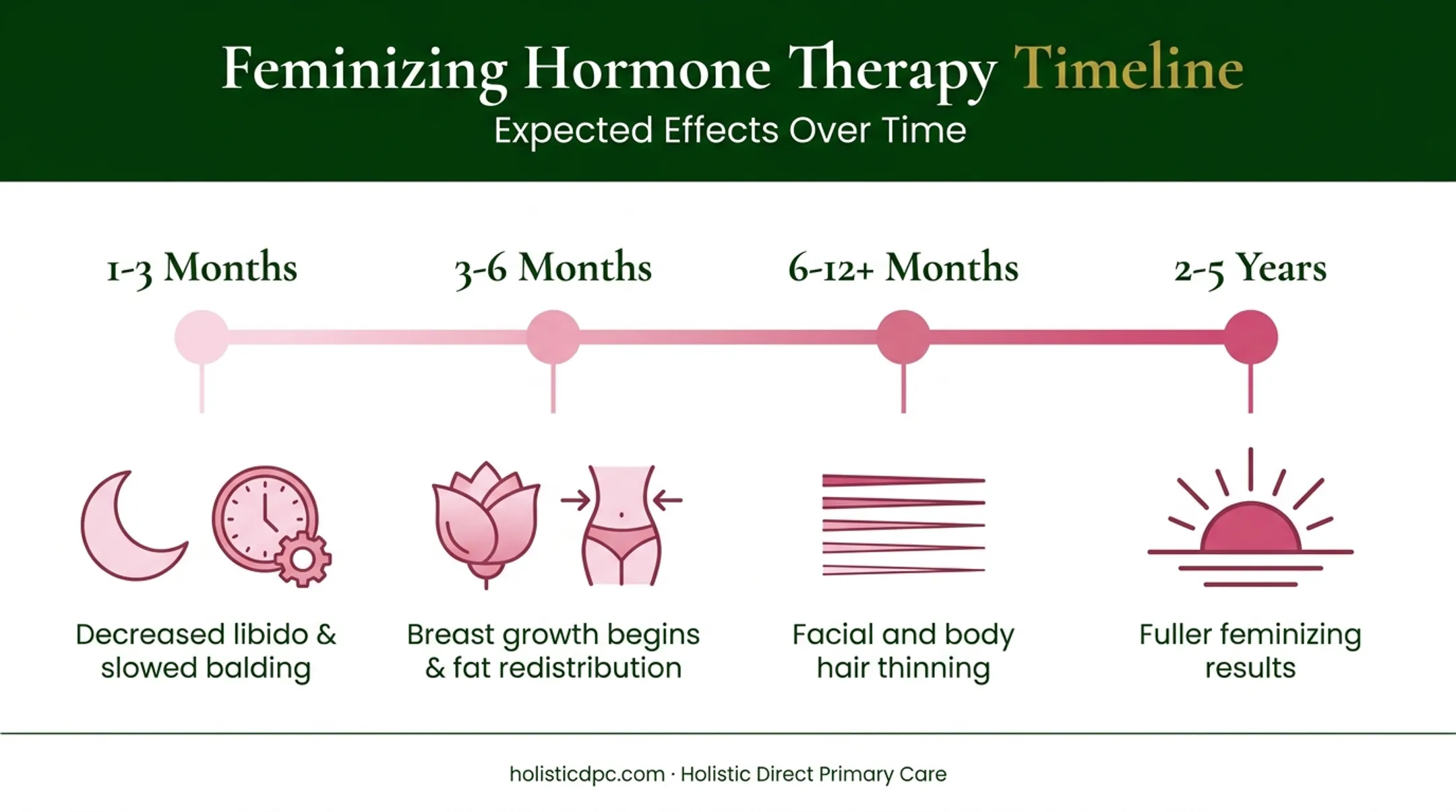 Estrogen therapy feminization timeline showing changes over five years