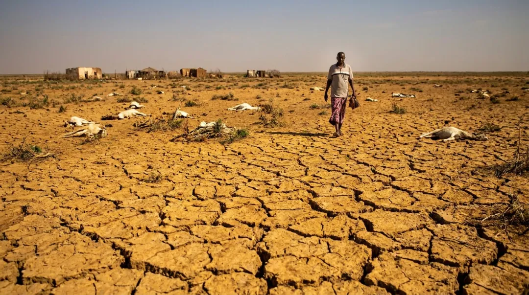 Drought-cracked earth and displaced community illustrating climate-driven internal migration