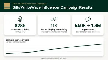 Influencer marketing ROI case study showing 11x display ad returns and sales lift data