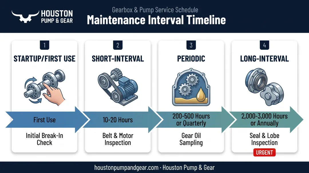 Rotary lobe pump maintenance schedule timeline showing service intervals