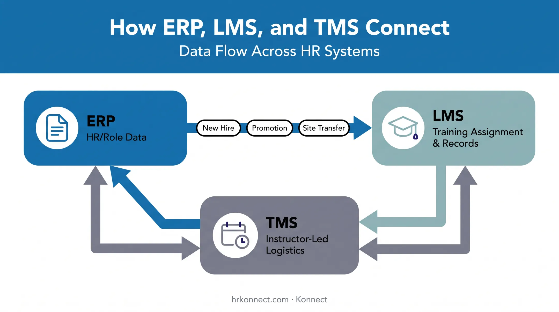 LMS ERP and TMS system relationship diagram showing data flow