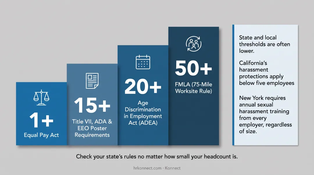 Federal employment law thresholds by employee headcount infographic