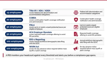 Federal and Georgia compliance threshold table showing headcount triggers and obligations