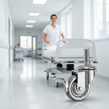 Medical & Hospital
