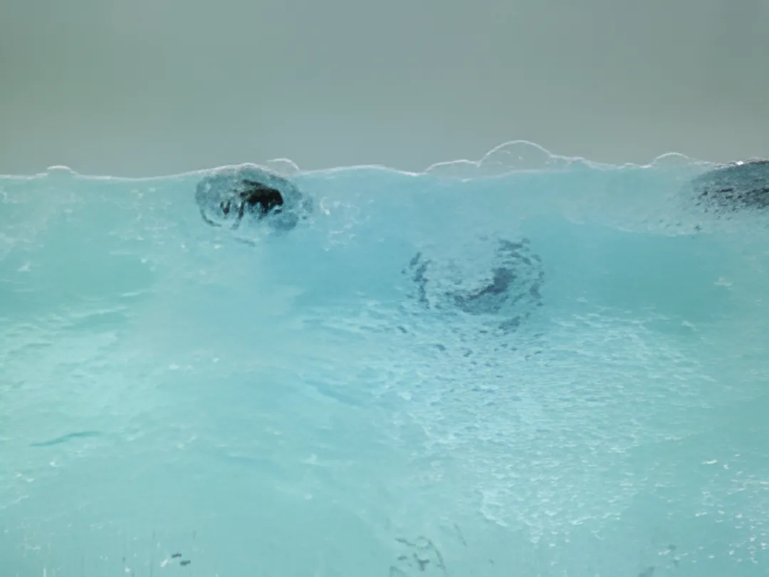Physical Therapy & Wellness Centers