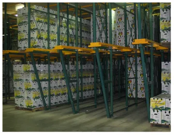 Logistics & Fulfillment