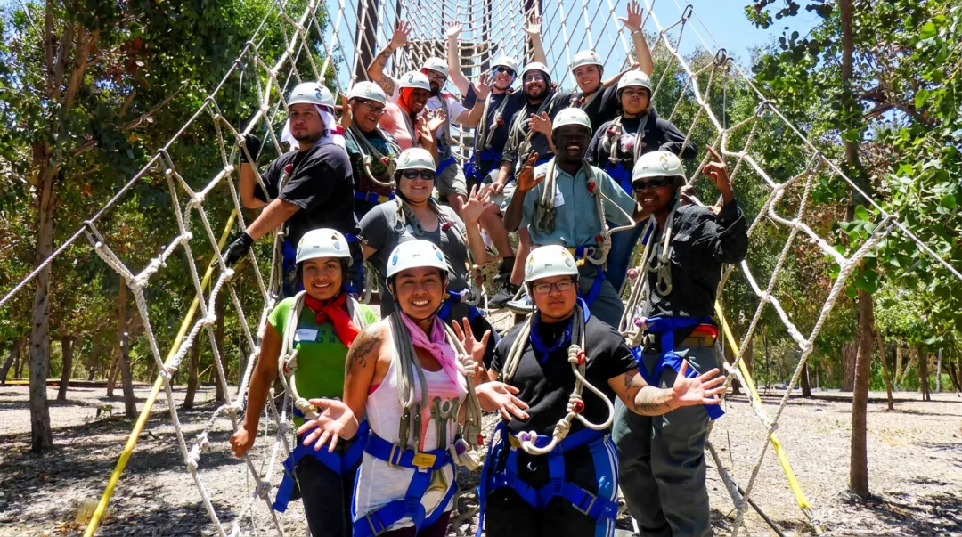 Corporate team completing outdoor adventure course aerial obstacles together