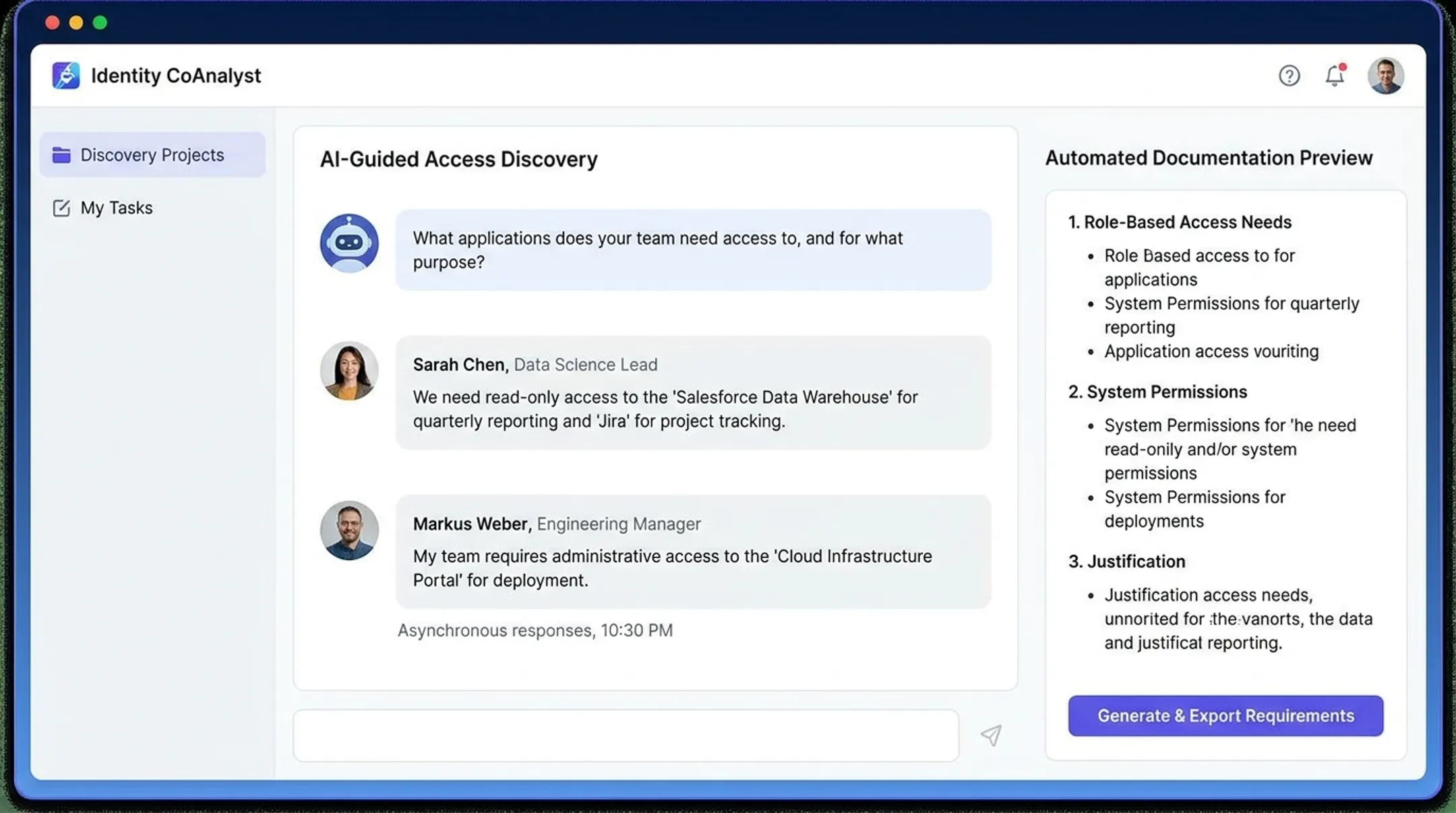 Identity CoAnalyst platform interface displaying AI-guided discovery questionnaire