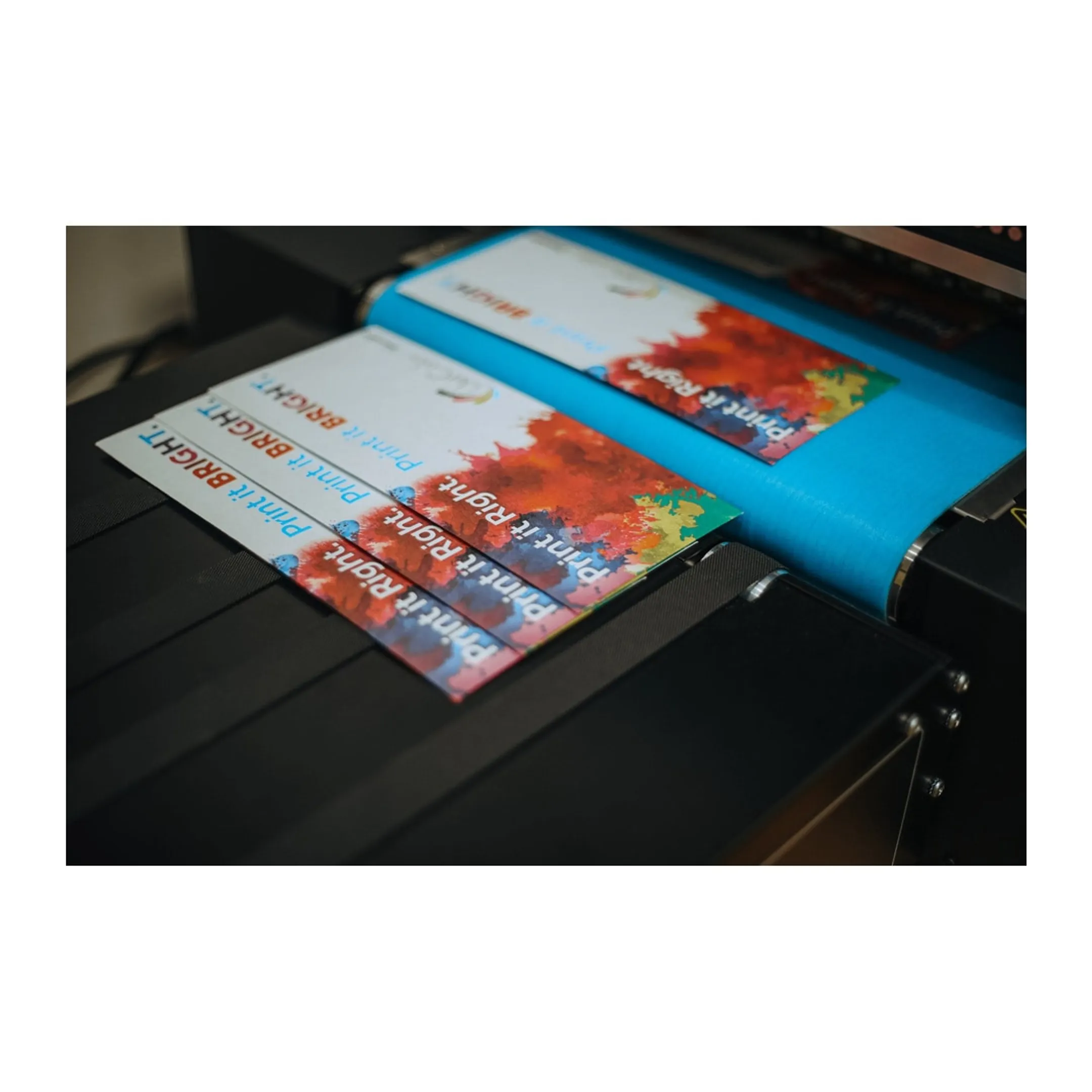 Print operator reviewing color inkjet output