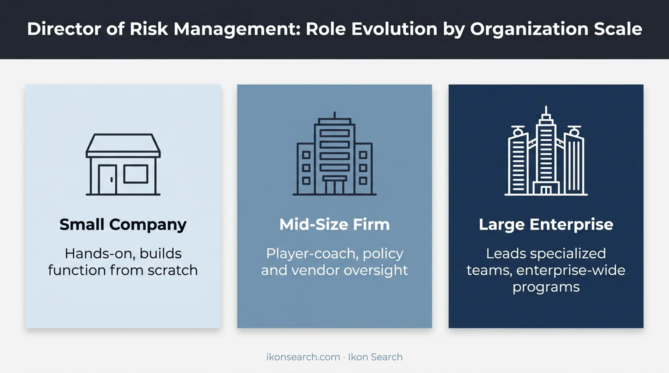 Director of Risk Management role scope comparison by company size