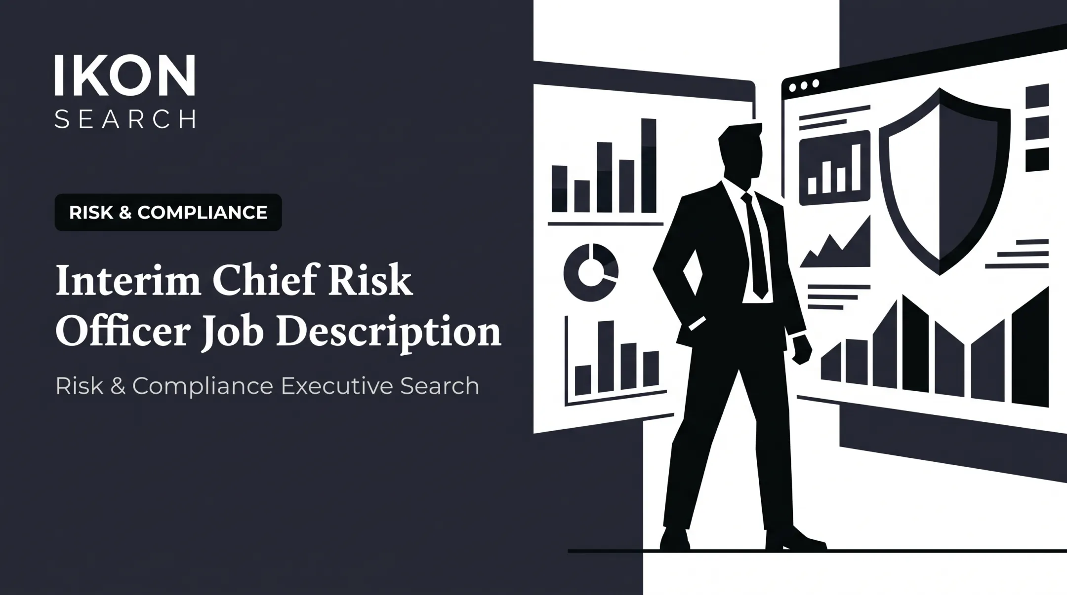 Interim Chief Risk Officer Job Description