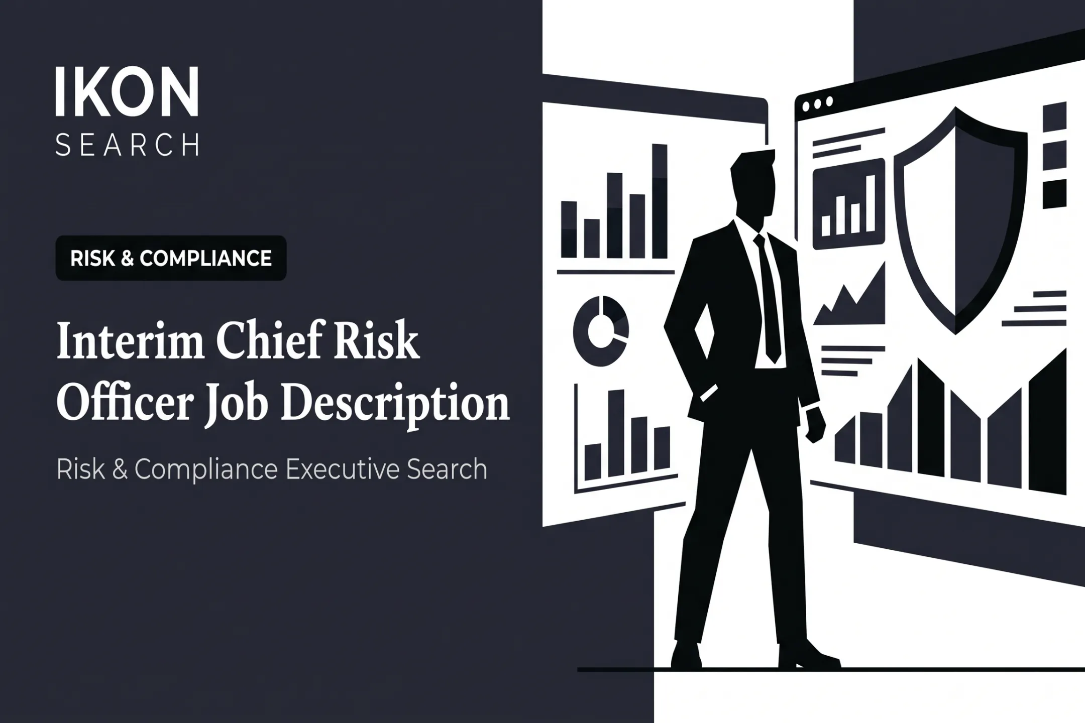 Interim Chief Risk Officer Job Description