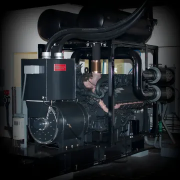 GridGenius Natural Gas Genset