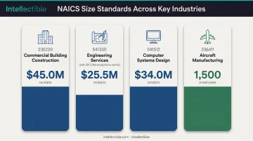 NAICS code size standards comparison chart showing receipt and employee thresholds across industries