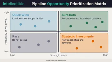 Government contract pipeline prioritization matrix showing PWin probability versus strategic value quadrants