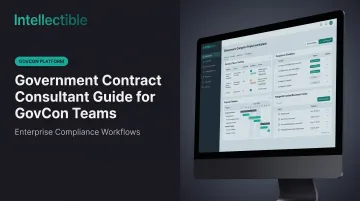 Government Contract Consultant Guide for GovCon Teams