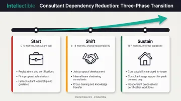 Three-phase consultant transition timeline from dependent to independent government contracting capability
