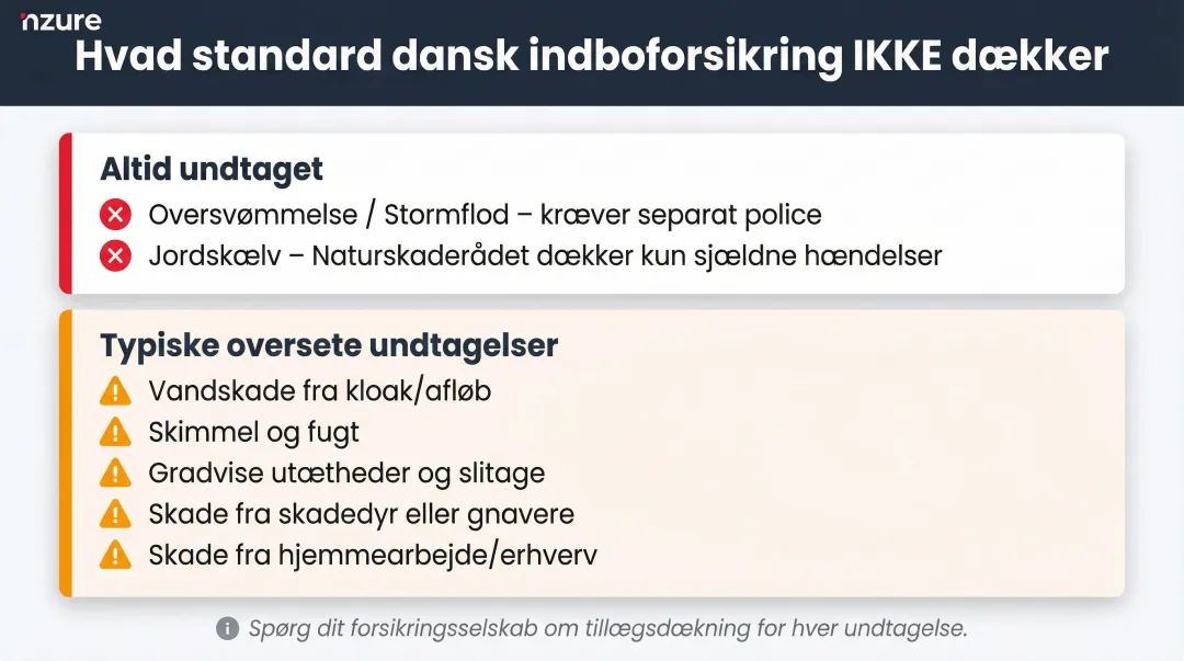 Standard Danish home insurance policy common exclusions checklist infographic