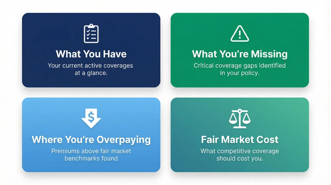 AI insurance analysis plain-language report output four key findings breakdown