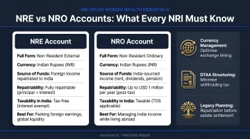 NRI professional managing dual NRE and NRO bank accounts cross-border finances
